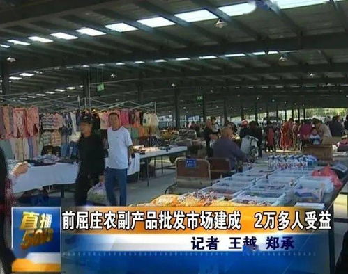 唐山新農(nóng)副產(chǎn)品批發(fā)市場(chǎng)正式啟用，惠及兩萬余居民